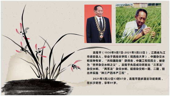 ug环球加速节点图片